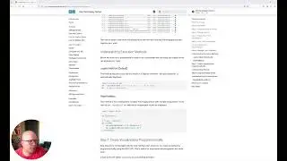 Display Server (HoloViz MCP)