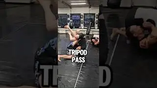 Tripod Pass #bjj