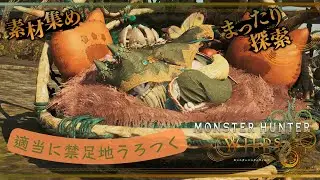 【MHWs】今更ながら武器装飾品ほちぃのあるんですけど･･･【steam】