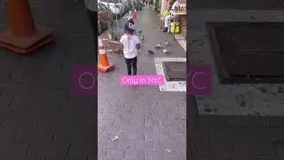 Playing with pigeons in New York #Shorts