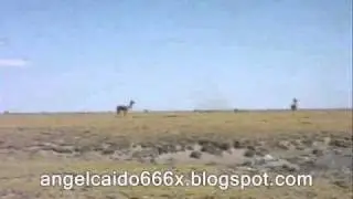 La Sequia en Huachacalla Oruro Bolivia
