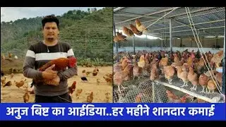 पौड़ी गढ़वाल का अनुज बिष्ट...शहर छोड़कर गांव लौटा...अब मुर्गी पालन से शानदार कमाई