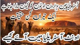 Camel Culling in Australia | The Hidden Environmental Crisis 
