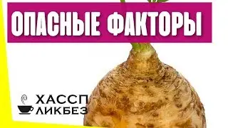 Что такое опасные факторы в ХАССП? Как составить перечень опасных факторов в общественном питании?