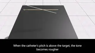 Psychoacoustic Sonification - Training Video