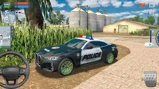 Very good police game, working as a police officer in a ford car