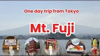One Day Trip Mt. Fuji | Traditional Village, Oishi Park, Oshino Hakkai, Chuerita Pagoda