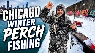 CHICAGO PERCH FISHING LAKE MICHIGAN @raulmedina8782 