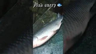 Sunday special fish curry 🍛 🐟 #youtubeshorts #recipe #food #fishcurry