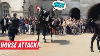 HORSE ATTACK! Bolts Backward Toward Public &mdash; Police React Instantly