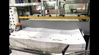 Roll Die cutting machine with hole stripping to cutting the carton box for seafood.