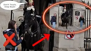 Thank You Guard!🙏He tells tourist to Step Back and Don't Touch The Horse!