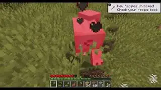 Minecraft Survival World (Found Null)