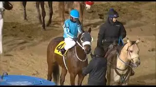 R5 PENN NATIONAL 12 декабря 2025 г.