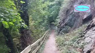 Heimbach - A wonderful place in Eifel region, Germany - full of nature