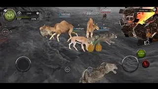 Animals Games - Deer, Wolf, Camel, Sheep Simulator Gameplay | Wild Animals Games | Deer Games