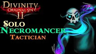 Solo Necro - Divinity Original Sin 2 - Livestream