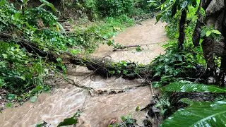⚠️The Hurricane Destroyed my Yard |  Melissa got worse in Haiti