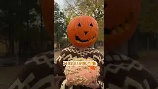 5 Pumpkin Facts 🎃
