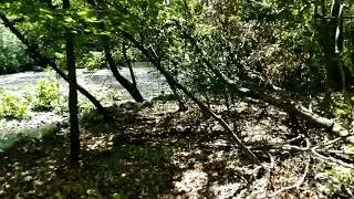 Wilderness walk edit!