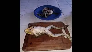 CACERIA DE RANAS CON RIFLE PCP FOX P10