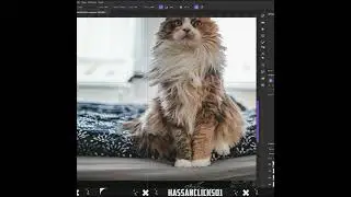 Christmas Manipulation !!
