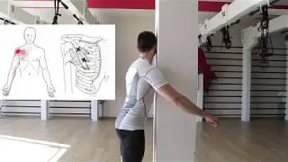 Эпизод 12 - Малая грудная мышца. Активный релиз + Растяжка. Часть 1
