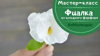 МАСТЕР-КЛАСС 