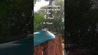 sabse jyada oxygen kaun sa ped deta hai