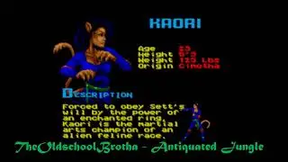 Shaq Fu Genesis Rap/Hip-Hop Remix - Antiquated Jungle