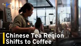 Iconic Chinese Tea-Growing Region Shifts To Selling Coffee｜TaiwanPlus News