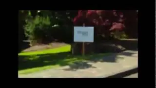 Eileen Brady for Mayor