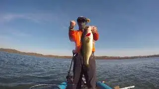 Large Mouth Bass Late Fall