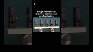 The Mind-Blowing Science of Spontaneous Synchronization! #science #trendingshorts #experiment