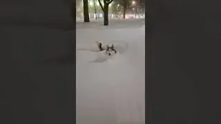 ❄️🇨🇦 Историческая Невада в Торонто