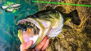 The BANDITO BUG Rocks 🔥🔥🔥 TEAM GOOGAN Baby 🎣