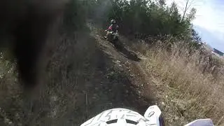 Freeflow XC