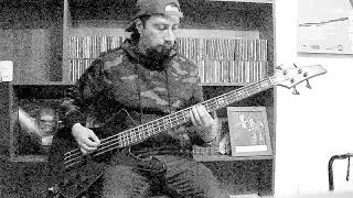 I Don't Mind the Pain bass cover (Danzig)