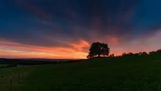 Sonidos del atardecer en el campo - Sounds of sunset in the countryside - Sonidos relajantes relax