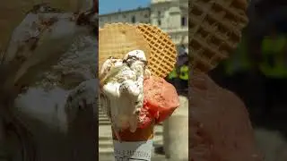 Roma en un solo d&iacute;a