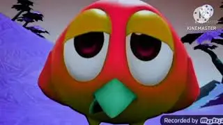 Pingoo Bird Effects