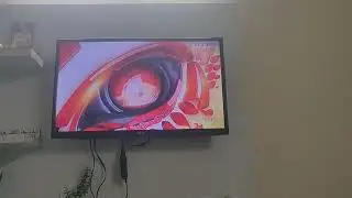 Zee mp cg ident 2025