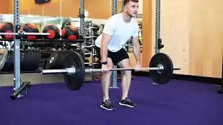 The Daily Pursuit - BB Deadlift