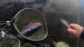 Morton Fishery