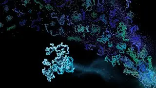 Conformational ensembles of the human intrinsically disordered proteome