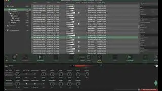 Kemper profiler toaster - test  2024 07 29 o 13 18 42