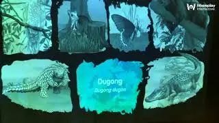 Mind Museum Touchless Interactive Exhibit