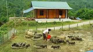 Complete wooden doors for new houses, Building a new life, Family farm.