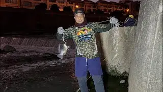 Fishing hooks snagging the new version