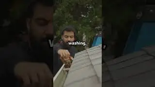 What Type of Roof Cleaning is Best in Tacoma, WA?